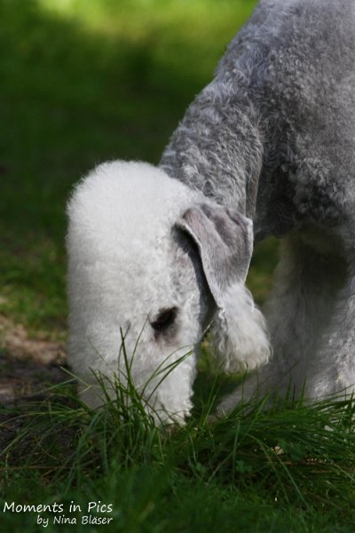 2010-05-29 Alanna und Svet (23).jpg - Airis Blue Volshebny Svet - 2010-05-29